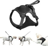 Michris All-in-one Dog Harness & Retractable Leash