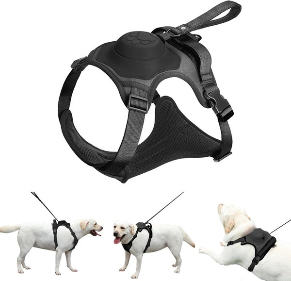 Michris All-in-one Dog Harness & Retractable Leash
