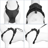 Michris All-in-one Dog Harness & Retractable Leash