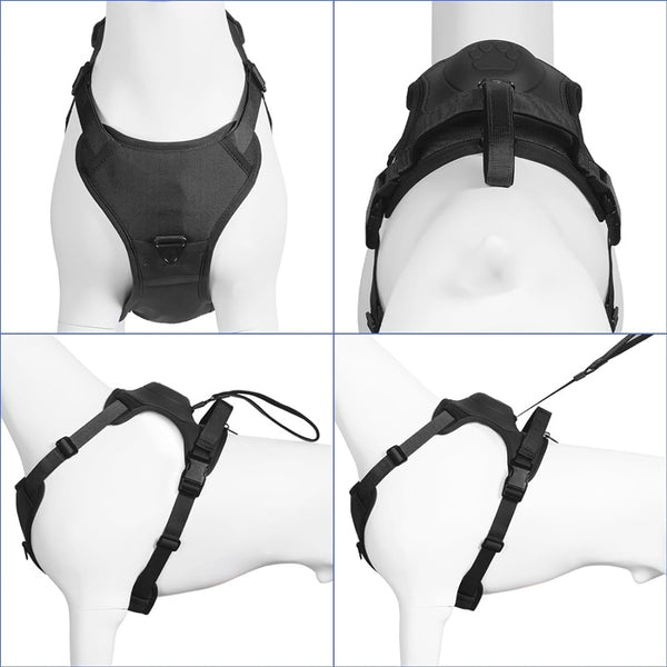 Michris All-in-one Dog Harness & Retractable Leash