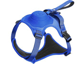 Michris All-in-one Dog Harness & Retractable Leash
