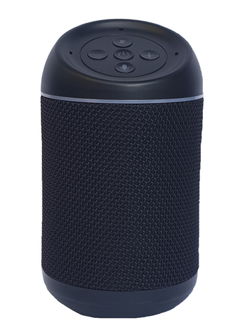 Alexa Enabled Speaker